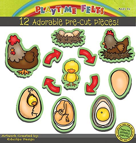 Chicken Life Cycle Felt Board Figures for Story Telling - Precut