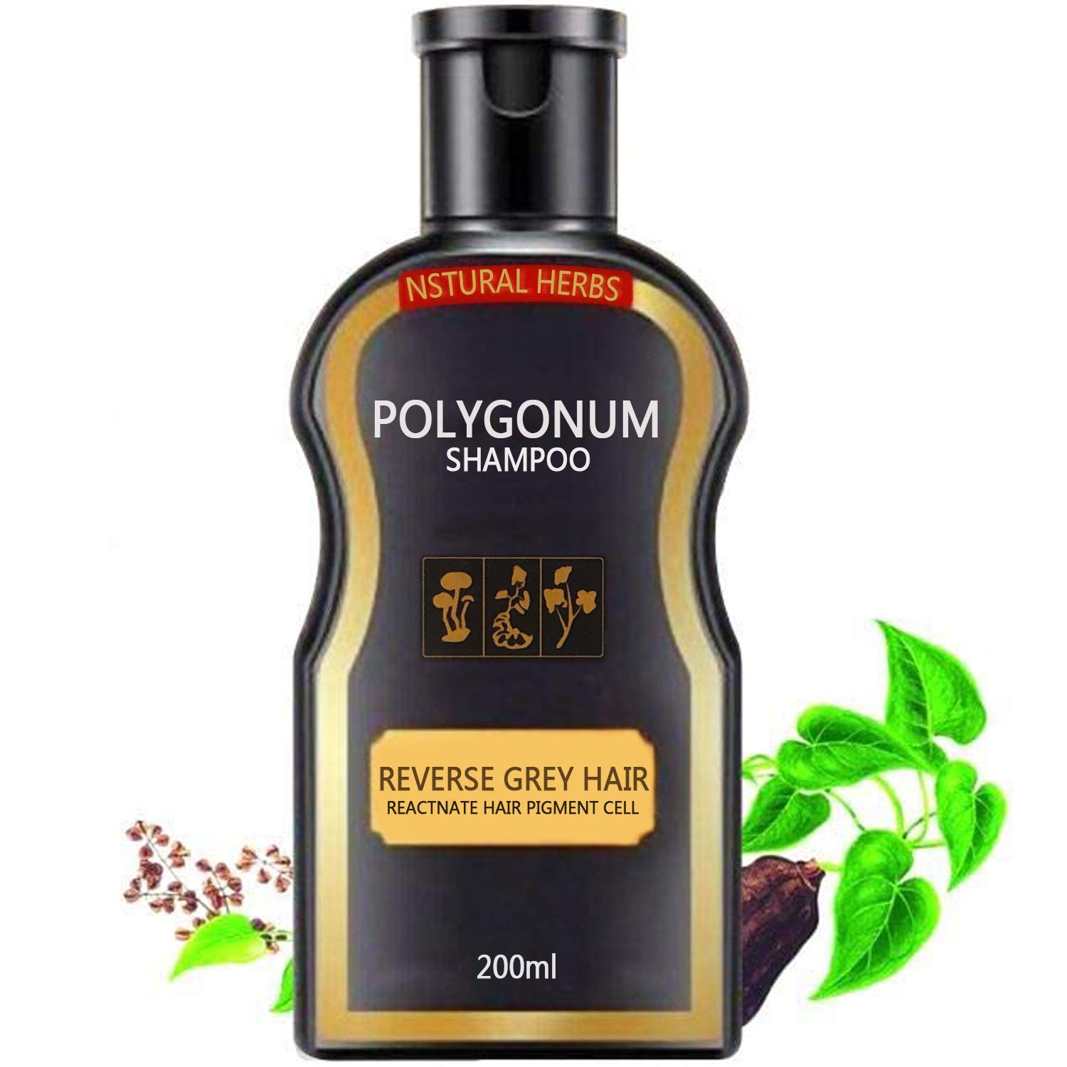 Luxe Natural Darkening Shampoo and Conditioner Organic Hair