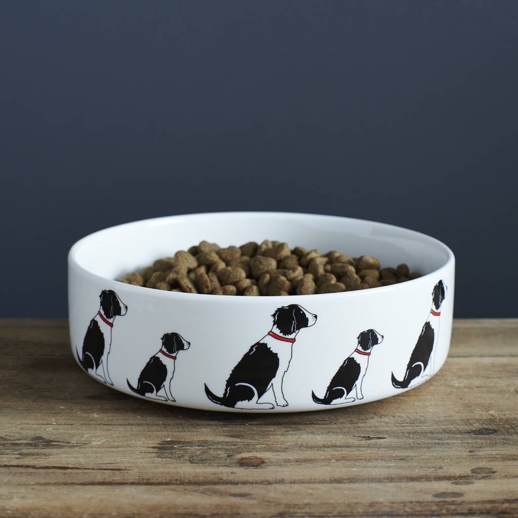 Sweet William Springer Spaniel (Black & White) Dog Bowl