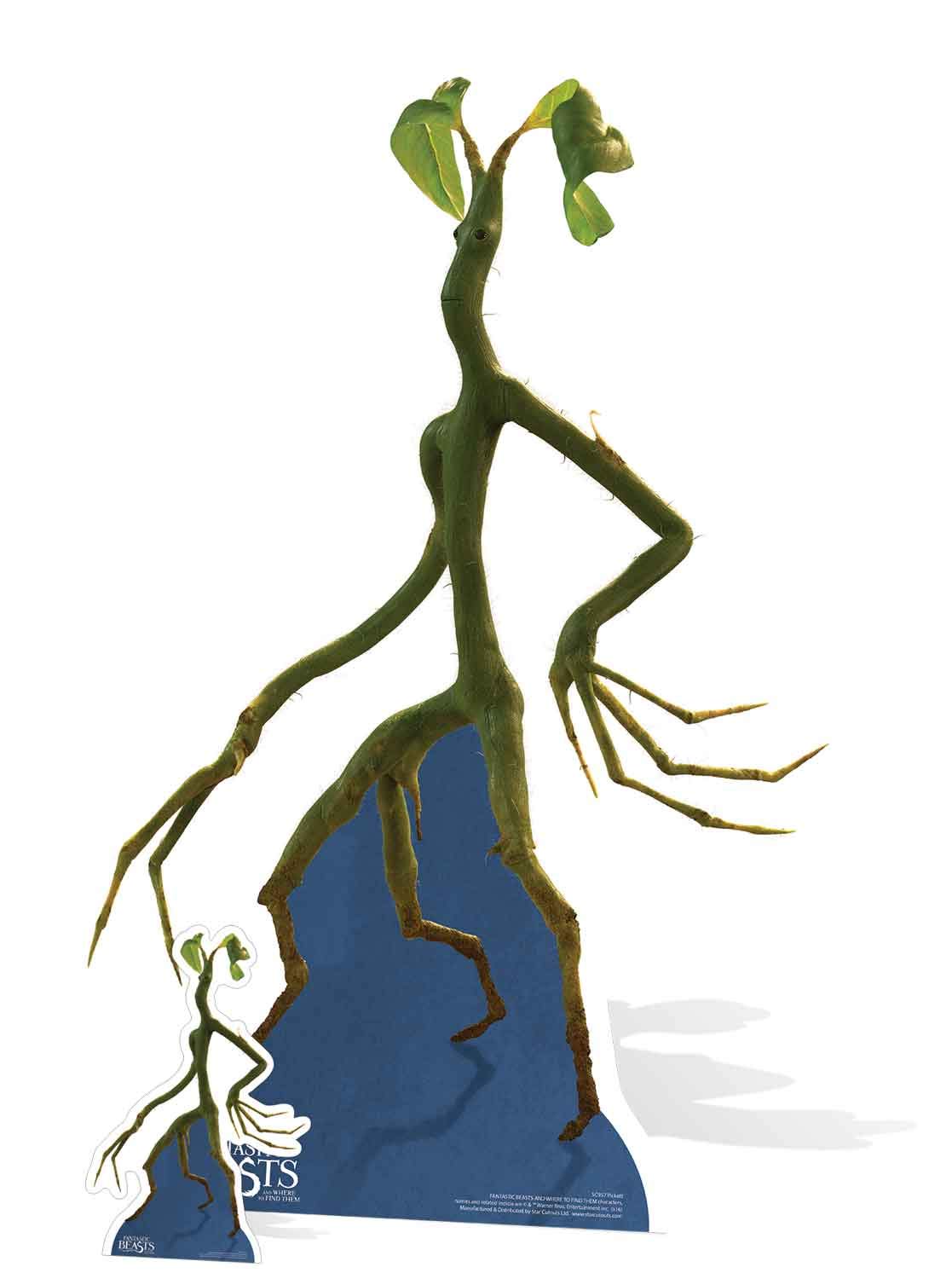 STAR CUTOUTS Pickett Fantastic Beasts Life Size Cardboard, Multi-Colour