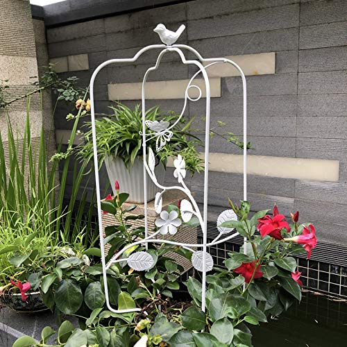 CJSWT Rankhilfe Rankgerüst Kletterpflanzen,Obelisken, Pflanzendesign Garten Gitter, Für Im Freien Kletterer Blumen und… – Bild 7