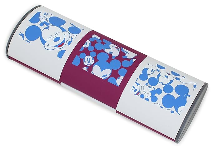 disney glasses case uk