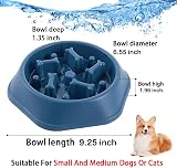 CAISHOW Slow Feeder Dog Bowl Small Medium Dogs Non-Slip Safe Material view 2