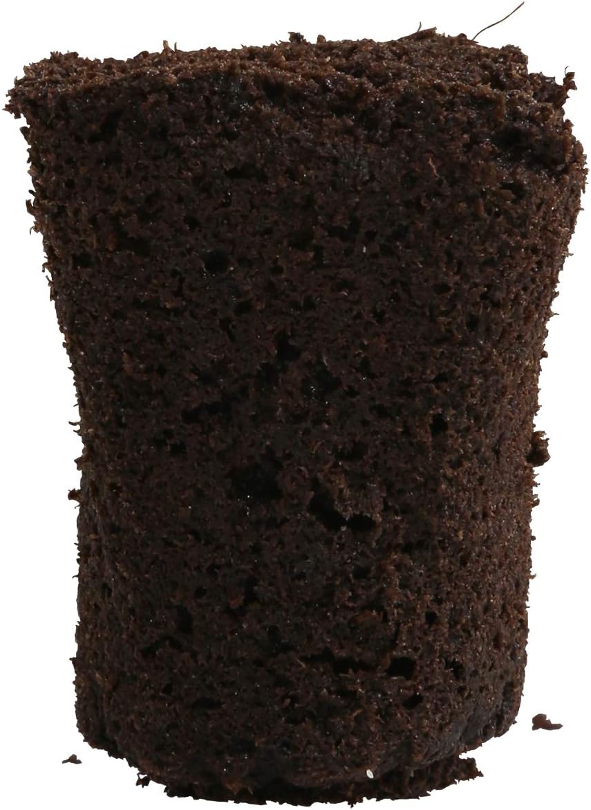 General Hydroponics HGC714135 Rapid Rooter Plant Starters, 50 Plugs, Black : Plant Germination Kits : Garden & Outdoor