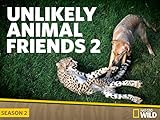 Unlikely Animal Friends Season 2
