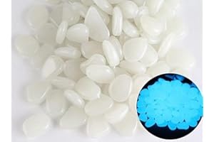 Party Zealot Inc 2lb 400PCS Glow in The Dark Pebbles Stones for Indoor and Outdoor Walkways Garden Driveway Large Bag Powered by Light and Solar (White)