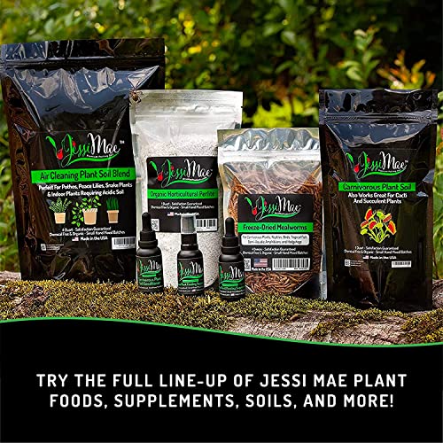 Jessi Mae Freeze Dried Mealworms Natural Protein Meal Supplement