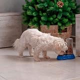 Ferplast AZIMUT 600 Pet Dispenser 0,6 L Dry Food or Water Blue view 3