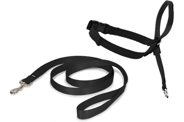 Petsafe Easy Walk Headcollar – No-Pull Dog Collar – Includes Leash – Perfect for Leash & Harness Training – Stops Pets from P