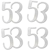 Silver Glitter 53 Cut-Out Numbers, 53rd Birthday Party Anniversary Decorations DIY Essentials