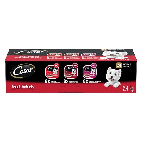CESAR Classic Loaf in Sauce Adult Wet Dog Food Beef Selects Variety Pack, 24x100g Trays