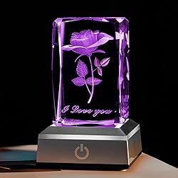 BAHUJIDA 3D Rose Crystal with LED Color