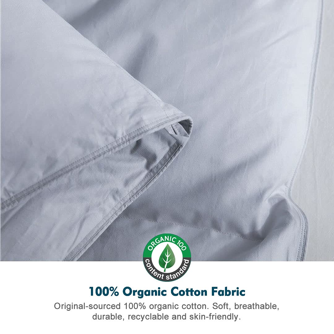 Oaken-Cat Gray Feathers Down Comforter California