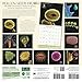 Pollen Seeds Fruit 2016 Wall Calendar: The Weird & Wonderful Microscopic World of Plants