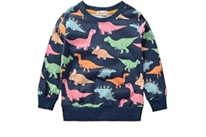 Julerwoo Girls Cotton Pullover Sweatshirts Full-Zip Hoodies Rainbow & Unicorn Printed Sweatshirt Tops 2-12 Years