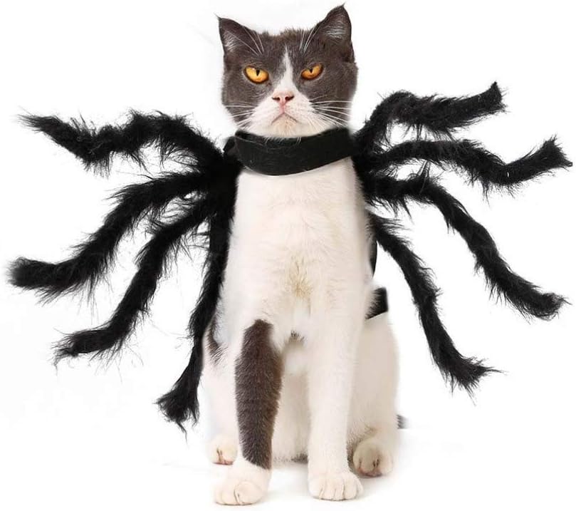 cat spider costume