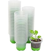 MIXC Thickened Clear Nursery Pots with Silicone Base for Easy Transplant 60 Packs 4 Inch, Transparent Plant Pot Reusable Seedling Pots for Vegetable Propagation, Root Cutting, Seed Starting, Green