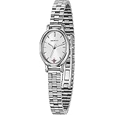 BERNY Silver Watches for Women Dainty Women's Wrist Watch, 3ATM Waterproof Fashion Small Ladies Bracelet Watch, Female Analog Quartz Watch, Full Stainless Steel Sun-ray Dial Luxury Birthday Present
