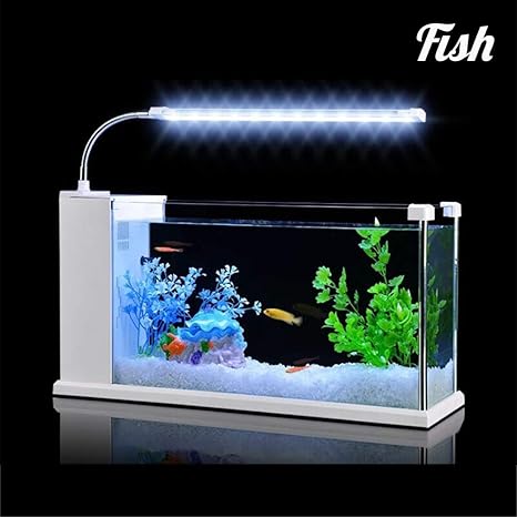 gwfish mini peceras escritorio pequenas