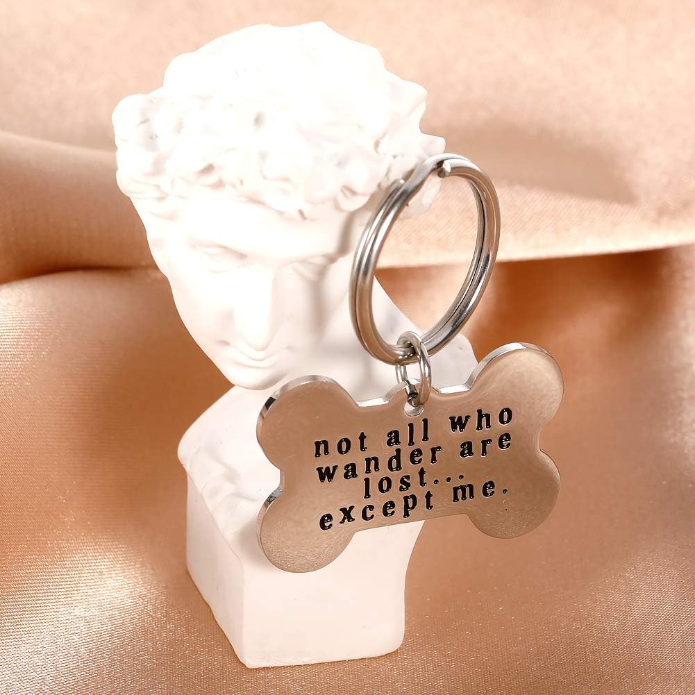 Funny Pet ID Tags for Dogs Collar for Kitten New Puppy Stainless Steel Not All Who Wander are Lost Except Me Cat Charm Christmas Gift Identification Charm : Pet Supplies