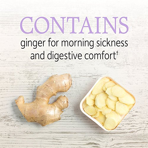 Garden of Life Vegetarian Prenatal Multivitamin Supplement with Folate