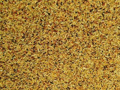 Bucktons Budgie Tonic Food - Chase Wildlife (12.75)