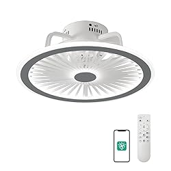 CHANFOK Ceiling Fan with Lights and Remote, Modern