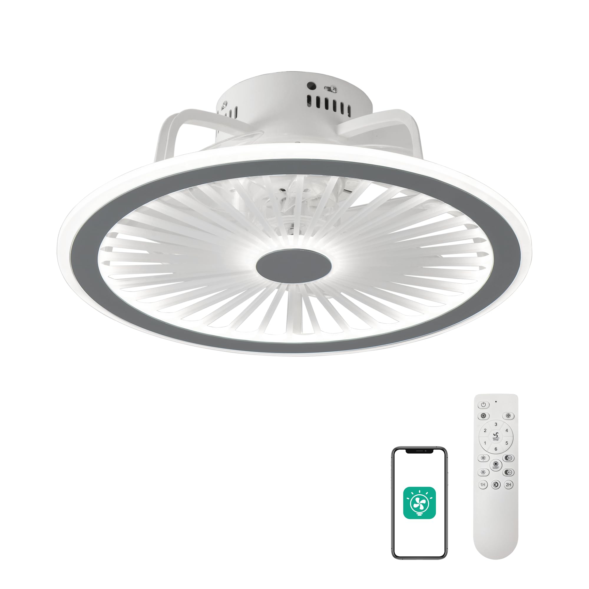 CHANFOK Ceiling Fan with Lights and Remote, Modern
