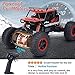 RC Car, NQD 1:16 Dual Motors Remote Control Truck, 2.4Ghz 4WD Off Road Remote Control Car with Two Rechargeable Batteries, Buggy Hobby Toy for Kids & Adults