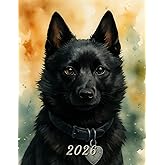 2026: Large Monthly Calendar Planner – Watercolor Schipperke Dog