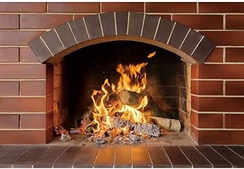 Amazon Com Dashan 12x8ft Indoor Brick Fireplace Christmas Living