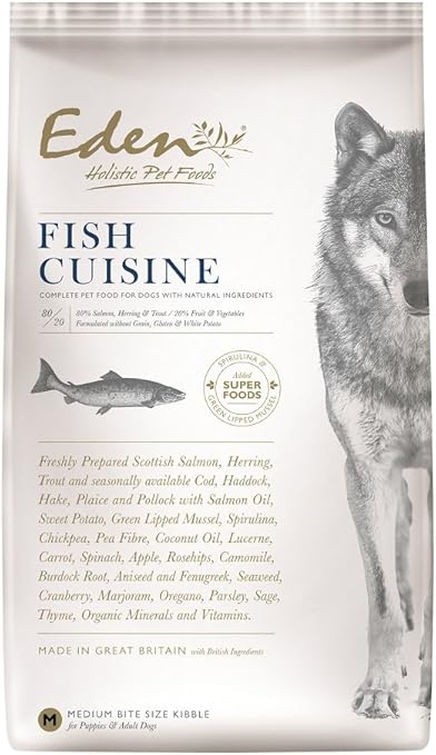 black lab and yellow lab mix