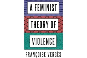 A Feminist Theory of Violence: A Decolonial Perspective (French Edition)