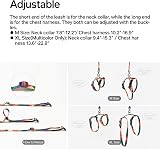 pidan Cat Harness and Leash Set XL Escape Proof Adjustable Multicolor view 4