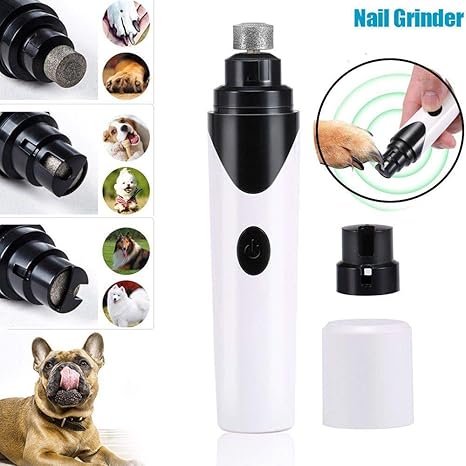 husky kennels near me