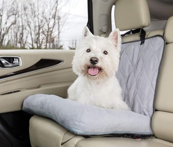 car dog bed amazon
