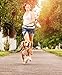 GEEPET Retractable Hands Free Dog Leash for Running, Walking, Hiking, with Strong Dual Bungees for Large Dogs up to 150 lb