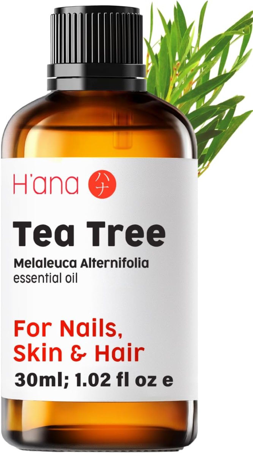 H'ana Tea Tree Essential Oil - 100% Pure Tea Tree Oil for Skin, Hair, Face, Toenails, and Aromatherapy - with a Distinct, Medicinal (30ml)