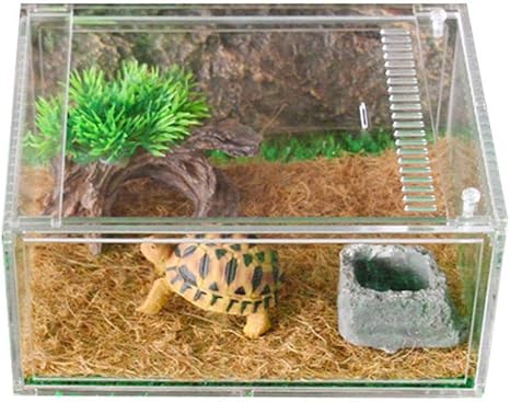 Amazon Co Jp 爬虫類飼育ボックス アクリル 飼育容器 小動物用 無色透明 通気性抜群 ヘビクモ トカゲス コーピオン用 爬虫類 両生類 飼育セット ホーム キッチン