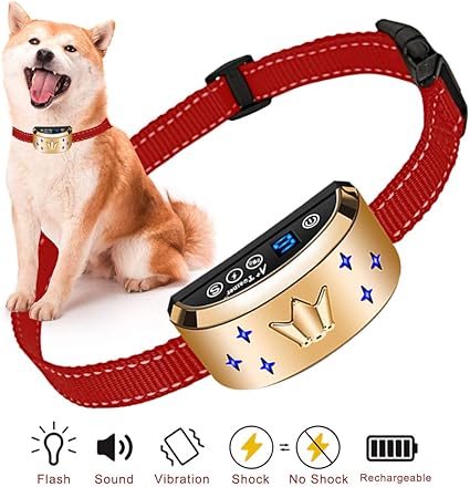 shock collar beeping noise