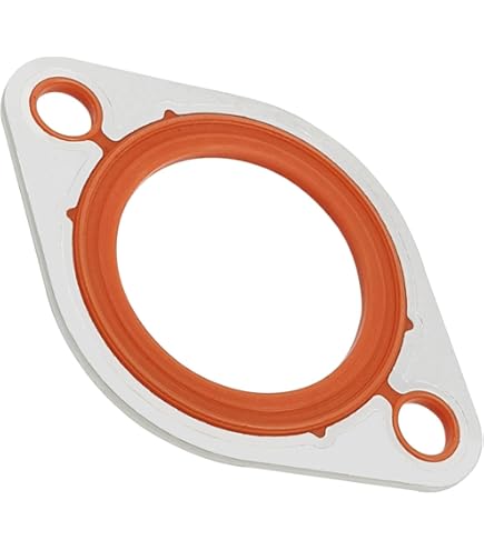 Amazon.com: Mr. Gasket 2668 Replacement Water Neck O-Rings