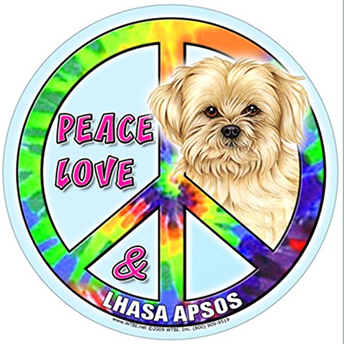 Lhasa Apso 5