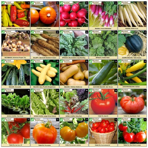 Survival Essentials 100 Variety Premium Heirloom Non Hybrid Non GMO