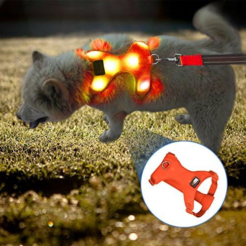 Vizpet Led Dog Harness USB Rechargeable Soft Mesh Adjustable Belt Collar Padded Lightweight Vest for Dogs Puppies Large (Orange)