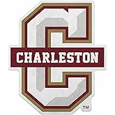 Rico Industries NCAA Charleston Cougars Shape Cut Pennant - Home and Living Room Décor - Soft Felt EZ to Hang