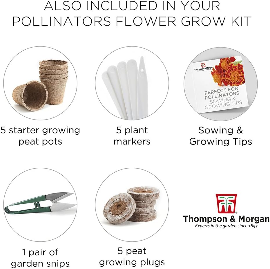 Perfect for Pollinators Seed Growing Kit Gift Box - Image 5