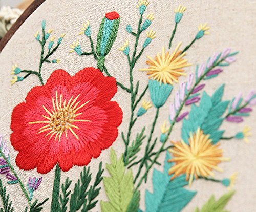 Cross Stitch Stamped Embroidery Kit - Eafior DIY Beginner Counted Starter Cross Stitch Kit for Art Craft Handy Sewing Including Color Pattern Embroidery Cloth,Embroidery Hoop,Color Threads,Tools Kit