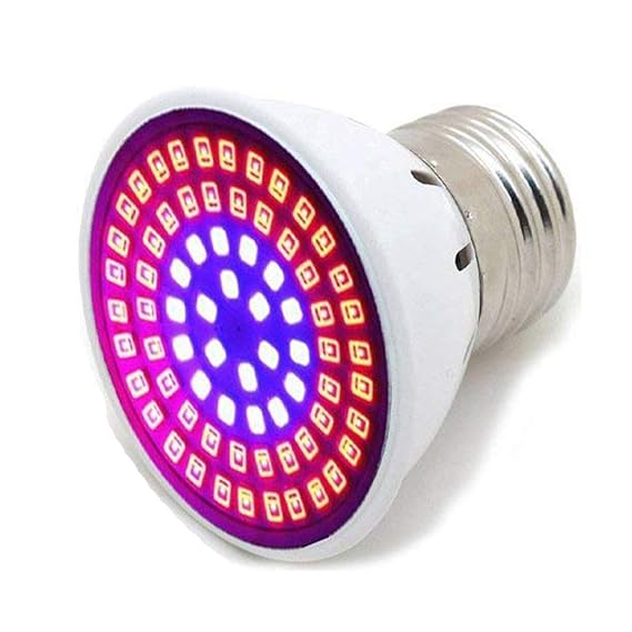 Help Your Plants Grow With LED Grow Light Bulbs Bless My Weeds