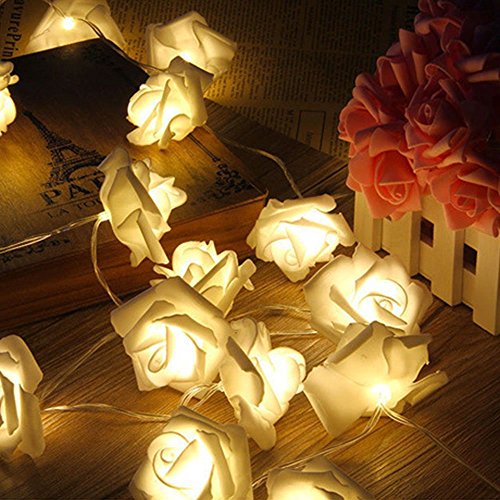 Avanti 20 Light Led Battery Operated String Light Rose Flower