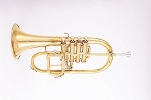 QUEENBRASS Queen Brass F-25 Flugel Horn Bb Pitch with Carrying Hardcase & Mouthpiece, Flugelhorn Harmon Mute 4 Valve in Nickel Finish, Perfect Gifting Option for Birthdays, Thanksgiving, Christmas